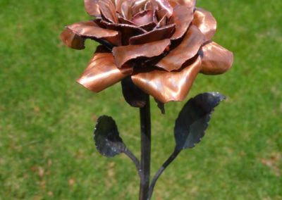 Rose – Copper & Steel