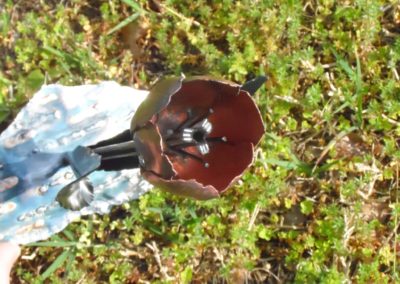 Tulip – Copper and Steel